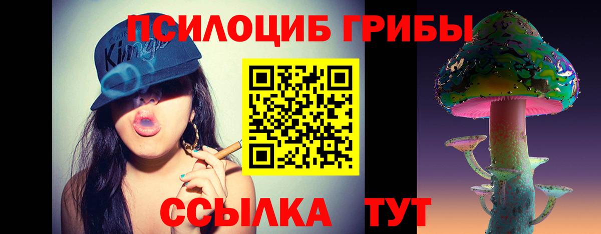 Псилоцибиновые грибы Psilocybine cubensis Семилуки